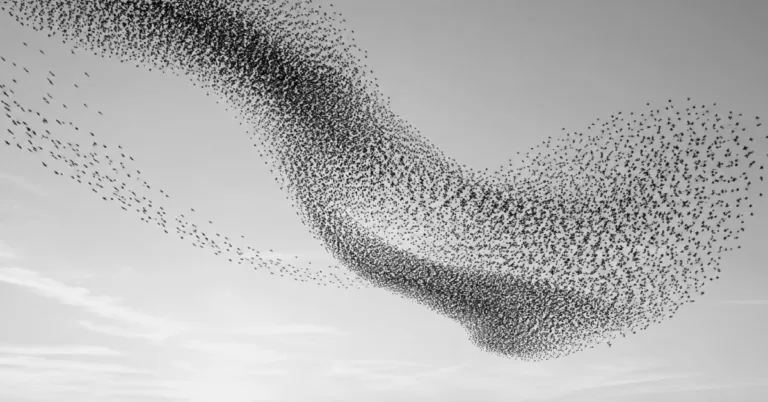 Why healthcare payer growth depends on journey orchestration, not demand featured image